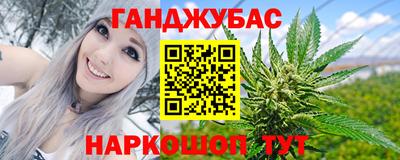шишки Бийск