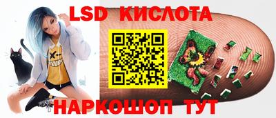 шишки Бийск