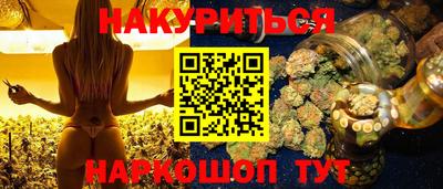 шишки Бийск
