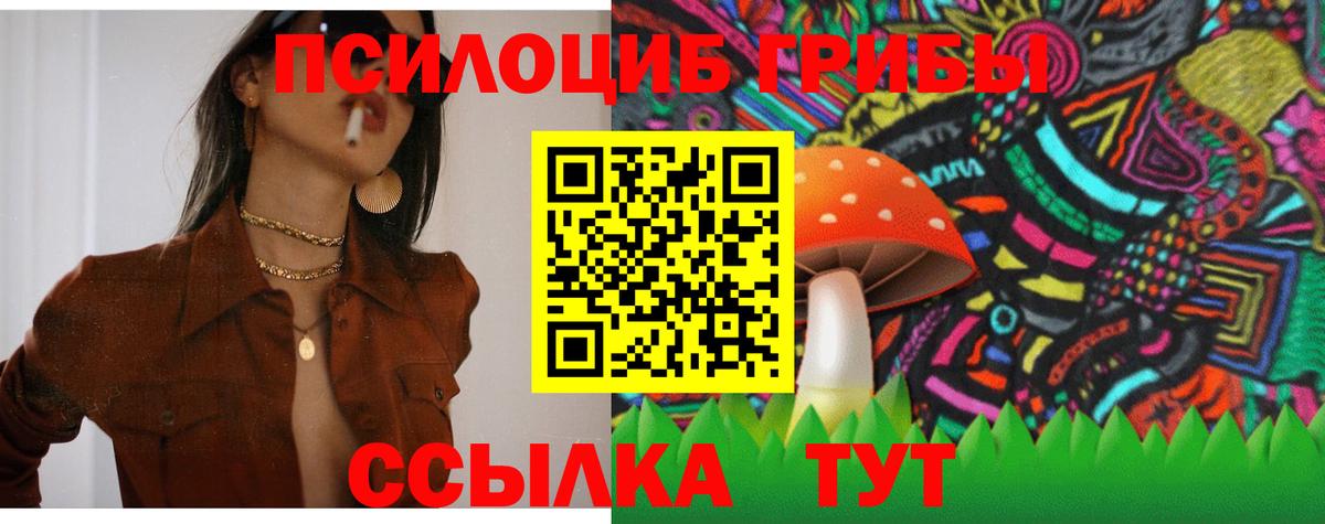 Волгодонск  Галлюциногенные грибы Psilocybe  Вход с VPN 