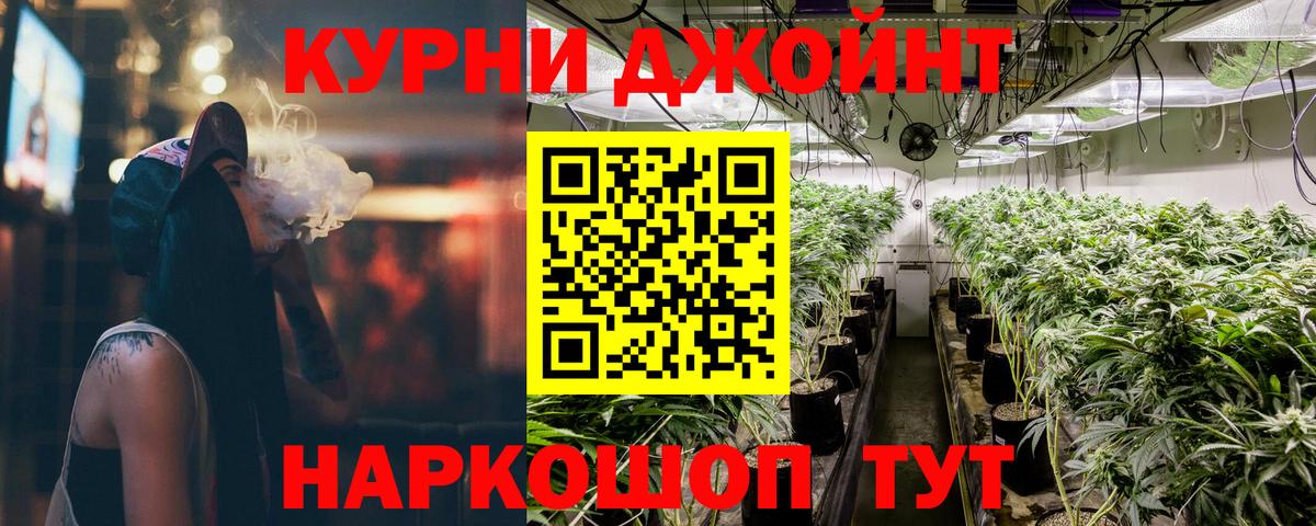 Волгодонск  Марихуана семена  Марихуана планчик  Бошки марихуана конопля  Вход с VPN 